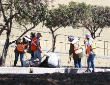 Los trabajos iniciaron en el tramo por donde circula la Línea 3 del Tren Ligero, por avenida Manuel Ávila Camacho y Juan Pablo II. CORTESÍA/Gobierno de Zapopan