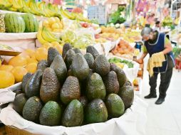 Reporte. Las cifras reflejan la resiliencia del campo mexicano durante la pandemia del COVID-19. AFP