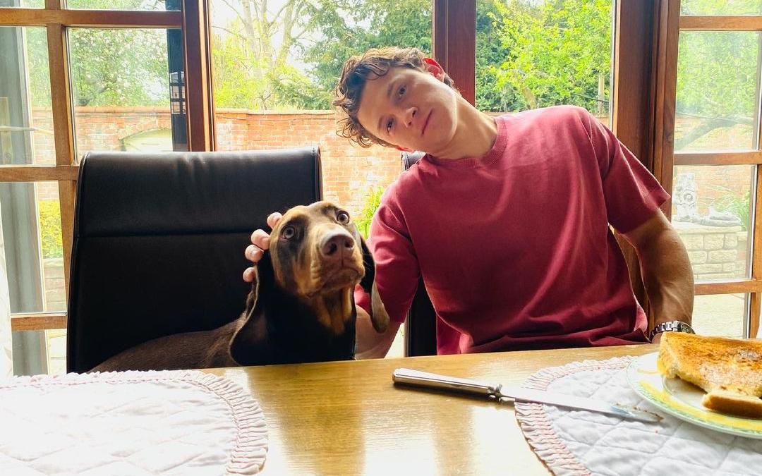 INSTAGRAM/tomholland2013