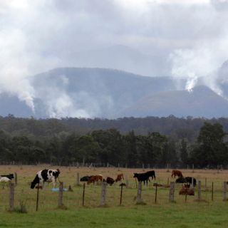 Actividades del sector primario dejaron 17 mil 462 MDP de ISR en el 2021