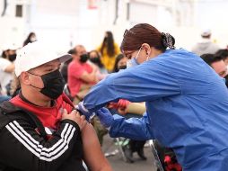 El proceso de la aplicación de la vacuna tarda alrededor de 30 minutos en los macromódulos. ESPECIAL