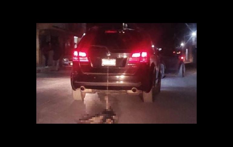 Organismos de protección animal exigieron a las autoridades dar con los responsables de esta acción. ESPECIAL