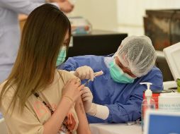 La empresa Medicago utiliza las plantas como si fueran fábricas vivas para cultivar partículas similares a los virus. XINHUA/R. Sageamsak