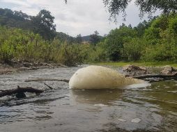 Pemex reafirmó su compromiso para preservar la seguridad de la población y el medio ambiente. EL INFORMADOR / ARCHIVO