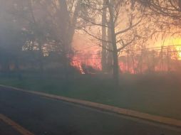 El incendio se registró en un terreno aledaño al CUCEA. EL INFORMADOR