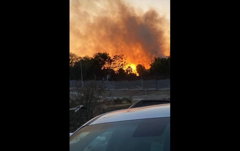El incendio se registró en un terreno aledaño al CUCEA. EL INFORMADOR