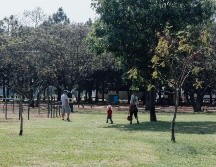 El Parque Metropolitano es uno de los lugares más emblemáticos de Guadalajara. EL INFORMADOR / ARCHIVO