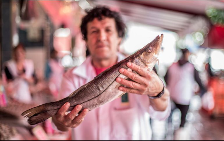 La Profeco sugiere revisar que las escamas del pescado estén brillantes, la carne con consistencia, los ojos firmes y transparentes y el olor debe ser fresco. EL INFORMADOR / ARCHIVO