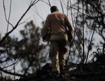 Aunque Pemex aseguró que no tiene fugas, el secretario confirmó que se seguirá insistiendo para que el organismo determine que no fue su responsabilidad lo ocurrido. EL INFORMADOR/ARCHIVO