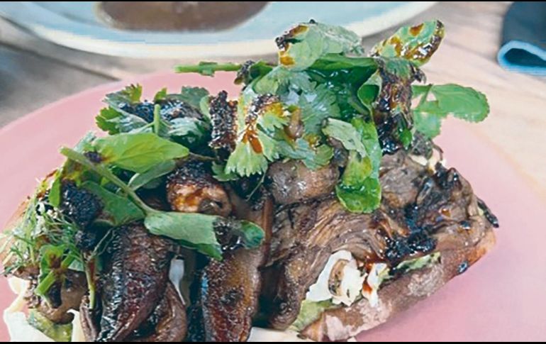 Tosta de hongos, una exquisitez. ESPECIAL