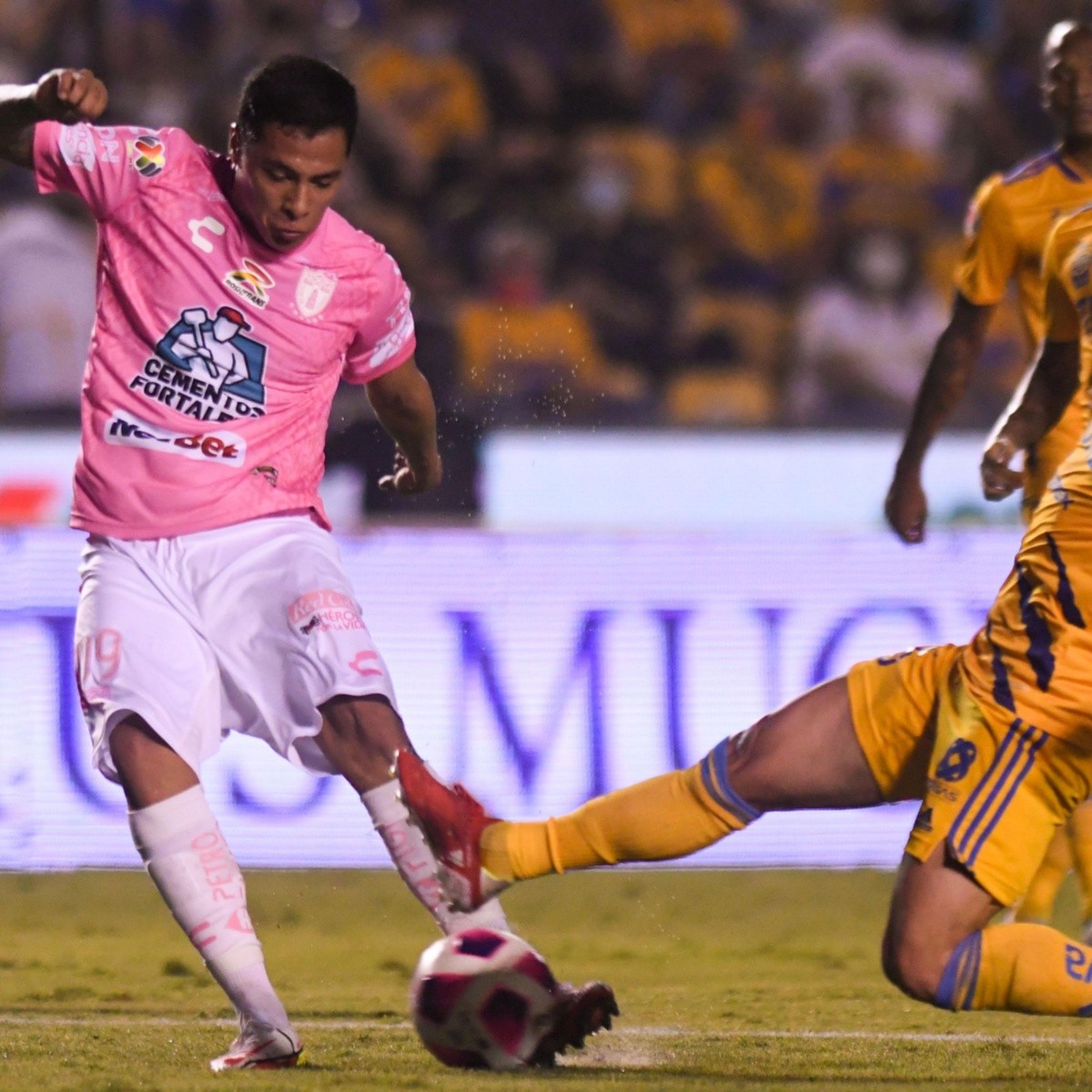 Pachuca vs Tigres: Horario y dónde ver EN VIVO el partido de ...