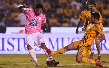 Pachuca vs Tigres: Horario y dónde ver EN VIVO el partido de ...