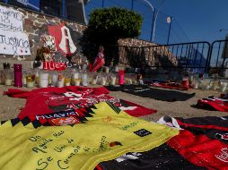 Reynoso también adelantó que durante la semana seguirá aportando para esta causa. IMAGO7