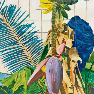 “Synaxis”, una reflexión artística sobre el medio ambiente