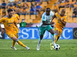 El encuentro León vs Tigres podrá ser visto en televisión restringida. IMAGO7