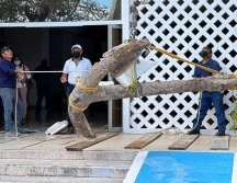 El ancla  fue hallada por trabajadores del Instituto para la Construcción y Conservación de Obra Pública de Yucatán en la localidad de Progreso. EFE/Instituto Nacional de Antropología e Historia