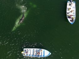 Aunque llegan menos turistas, su gasto se ha incrementado. EFE/M. Fong