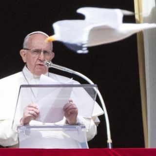 "¡En nombre de Dios, deténganse!", pide el Papa Francisco sobre Ucrania
