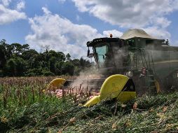 Rusia y Ucrania proporcionan 19% del suministro de cebada, 14% del trigo y 4% del maíz del mundo. AFP/N. Almeida