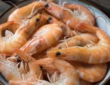 El camarón es el ingrediente principal de los platillos de estas recetas de cuaresma. ESPECIAL/Photo by Daniel Klein on Unsplash.