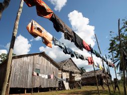 El asesinato del joven pataxó generó una fuerte movilización de la comunidad indígena brasileña en las redes sociales y protestas en las calles de Ponta Grande para exigir justicia. EFE / ARCHIVO