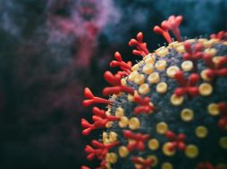 Algunos virus consiguen integrarse y 