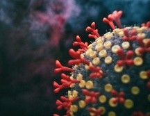 Algunos virus consiguen integrarse y 