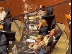 La senadora de la República por Morena, Soledad Luévano, fue vista durmiendo en sesión del pleno. ESPECIAL