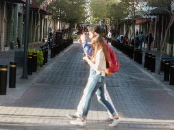 La proliferación de bolardos es un negocio millonario, pero las autoridades y proveedores ni siquiera los reparan. EL INFORMADOR/G. Gallo