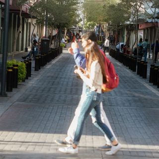 Ignoran regulación de bolardos, pese a la proliferación y riesgos