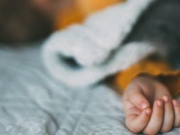 Conoce cinco consejos para una buena rutina para el sueño de los niños. ESPECIAL/Photo by Daiga Ellabay on Unsplash.