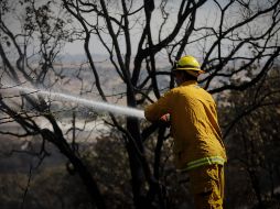 El siniestro fue reportado por la Semadet a las 14:09 horas de este viernes. EL INFORMADOR/ARCHIVO