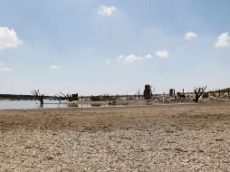 Aún no se reporta ningún municipio con sequía severa, extrema o excepcional, de acuerdo con los registros de la Conagua. EL INFORMADOR/Archivo