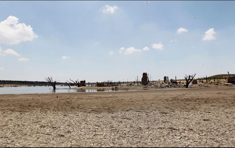 Aún no se reporta ningún municipio con sequía severa, extrema o excepcional, de acuerdo con los registros de la Conagua. EL INFORMADOR/Archivo