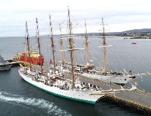 Investigadores siguen descubrieron nuevas criaturas en el lecho marino. EFE/Armada de Chile