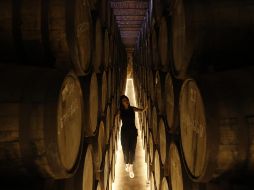 La mayor parte del tequila producido en 2021, es decir, 338 millones de litros, fue exportado tanto a granel (99 millones de litros) como envasado (239 millones de litros) mayoritariamente a Estados Unidos. EFE / F. Guasco