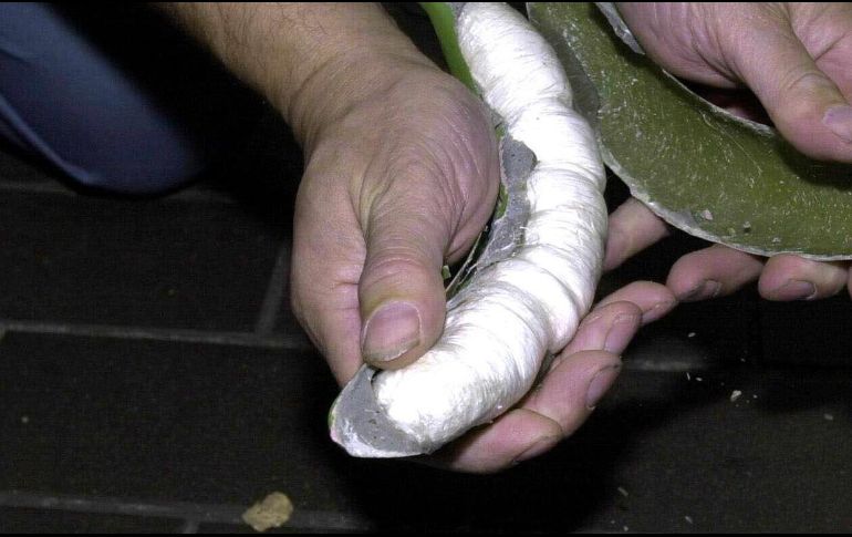 El proceso de contaminación de los contenedores de frutas involucra a cadenas del crimen organizado que se infiltran y corrompen a empleados públicos y privados. AFP/Archivo