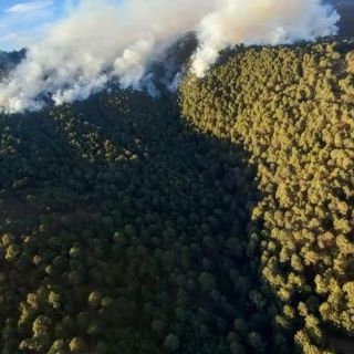 Seguridad en Jalisco: Tras 72 horas de combate, controlan incendio forestal en Mazamitla