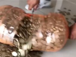 El video se hizo viral en las redes sociales, donde se apreciaba a un hombre de nombre Martín Sanchéz, como sacaba el dinero que ahorró en tan solo dos años y un mes. ESPECIAL