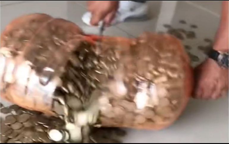 El video se hizo viral en las redes sociales, donde se apreciaba a un hombre de nombre Martín Sanchéz, como sacaba el dinero que ahorró en tan solo dos años y un mes. ESPECIAL