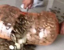 El video se hizo viral en las redes sociales, donde se apreciaba a un hombre de nombre Martín Sanchéz, como sacaba el dinero que ahorró en tan solo dos años y un mes. ESPECIAL