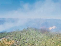 LABOR. Ayer se reportó liquidado el incendio forestal en el paraje Cerro Pelón, ubicado en Mazamitla, que  consumió más de 300 hectáreas en tres días, informó la Secretaría de Medio Ambiente y Desarrollo Territorial (Semadet). En el combate contra el fuego participaron 58 elementos de distintas corporaciones. Especial