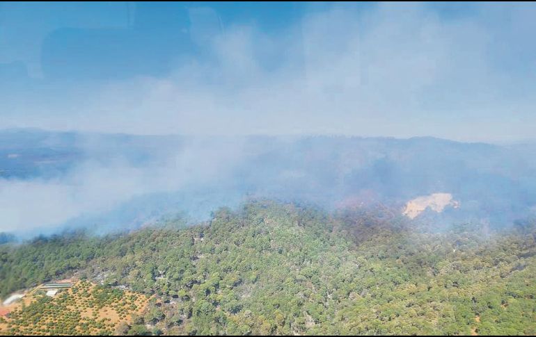 LABOR. Ayer se reportó liquidado el incendio forestal en el paraje Cerro Pelón, ubicado en Mazamitla, que  consumió más de 300 hectáreas en tres días, informó la Secretaría de Medio Ambiente y Desarrollo Territorial (Semadet). En el combate contra el fuego participaron 58 elementos de distintas corporaciones. Especial