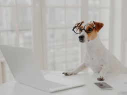 ISTOCK GETTY IMAGES/Viorel Kurnosov