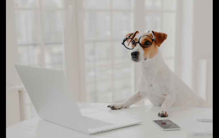 ISTOCK GETTY IMAGES/Viorel Kurnosov