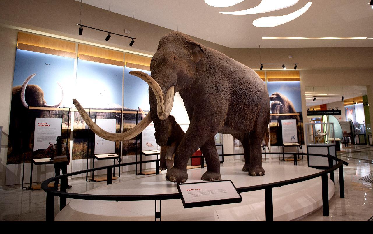 Las instalaciones se plantean como un enclave nacional e internacional para el estudio de la paleontología. ESPECIAL/INAH