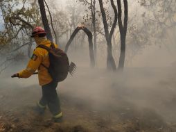El incendio se registra en el Área Natural Protegida (ANP) de la zona del Bajío de Milpillas, en el Bosque La Primavera. ESPECIAL