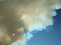 TWITTER/ @VCEVICTORIA