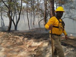 El incendio se registra en el Área Natural Protegida del Bosque La Primavera. ESPECIAL