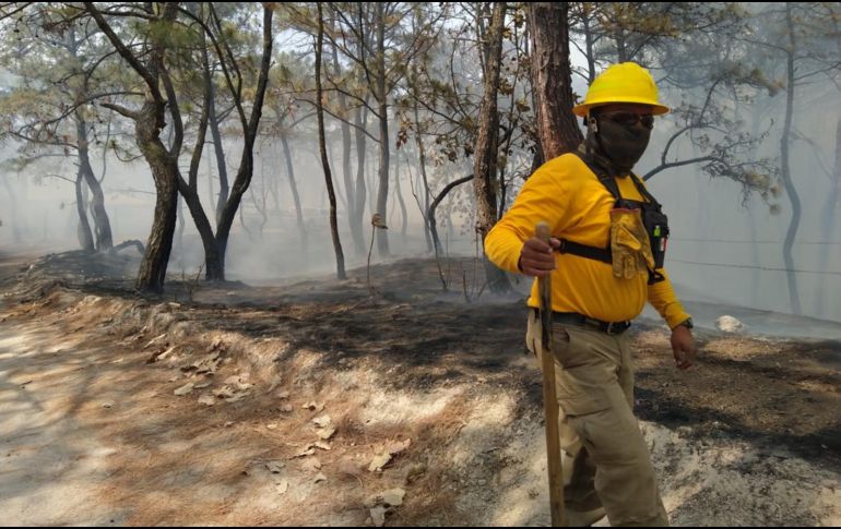 El incendio se registra en el Área Natural Protegida del Bosque La Primavera. ESPECIAL